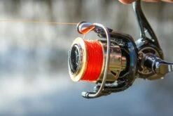 Ultimate Aurum 1000 23 Ultimate Aurum 1000 -Visuitrusting Winkel 008017bbc0525a3b