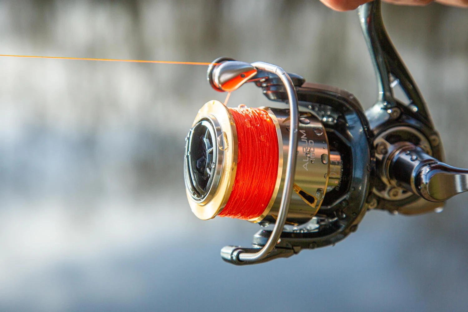 Ultimate Aurum 1000 6 Ultimate Aurum 1000 - Afbeelding 6