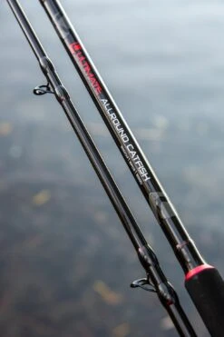 Ultimate Allround Catfish 300cm, Meervalhengel -Visuitrusting Winkel 118dbeada876c8d2