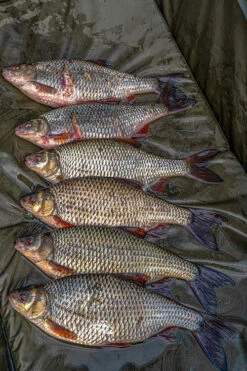 Korum Supa Lite Fast Mat XL Onthaakmat