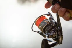 Ultimate Aurum 1000 21 Ultimate Aurum 1000 -Visuitrusting Winkel c168ec7738b9c369