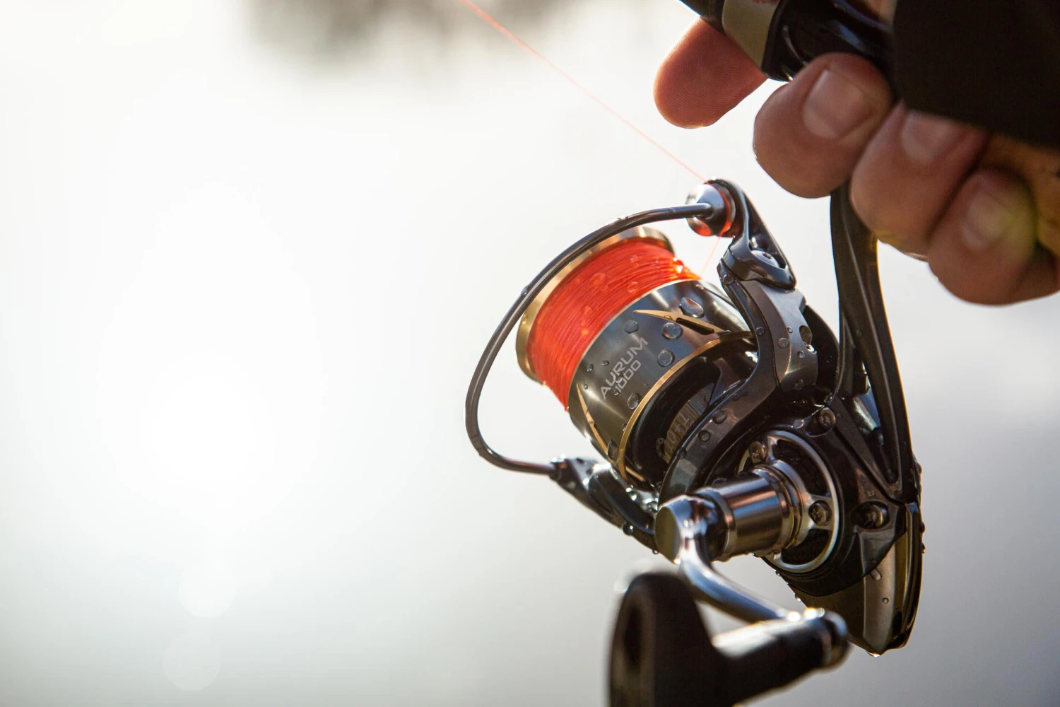 Ultimate Aurum 1000 4 Ultimate Aurum 1000 - Afbeelding 4