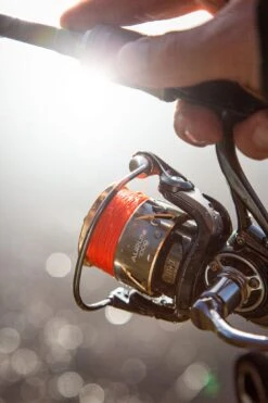 Ultimate Aurum 1000 22 Ultimate Aurum 1000 -Visuitrusting Winkel cce34b6907ad4dca