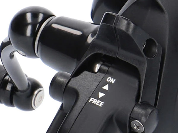 Daiwa 19 Black Widow BR LT 2500 1 Daiwa 19 Black Widow BR LT 2500